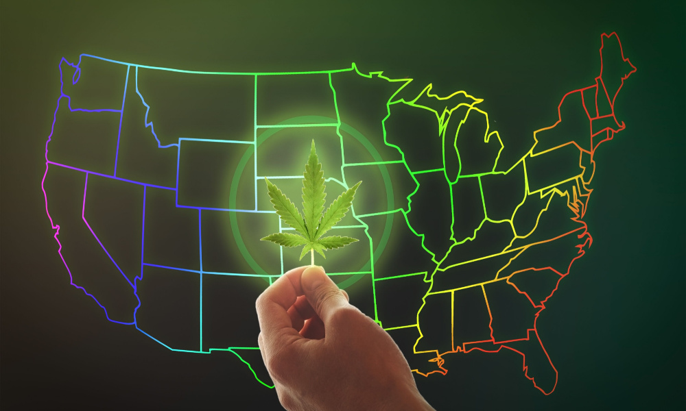Essential Facts On Weed In Legal States
