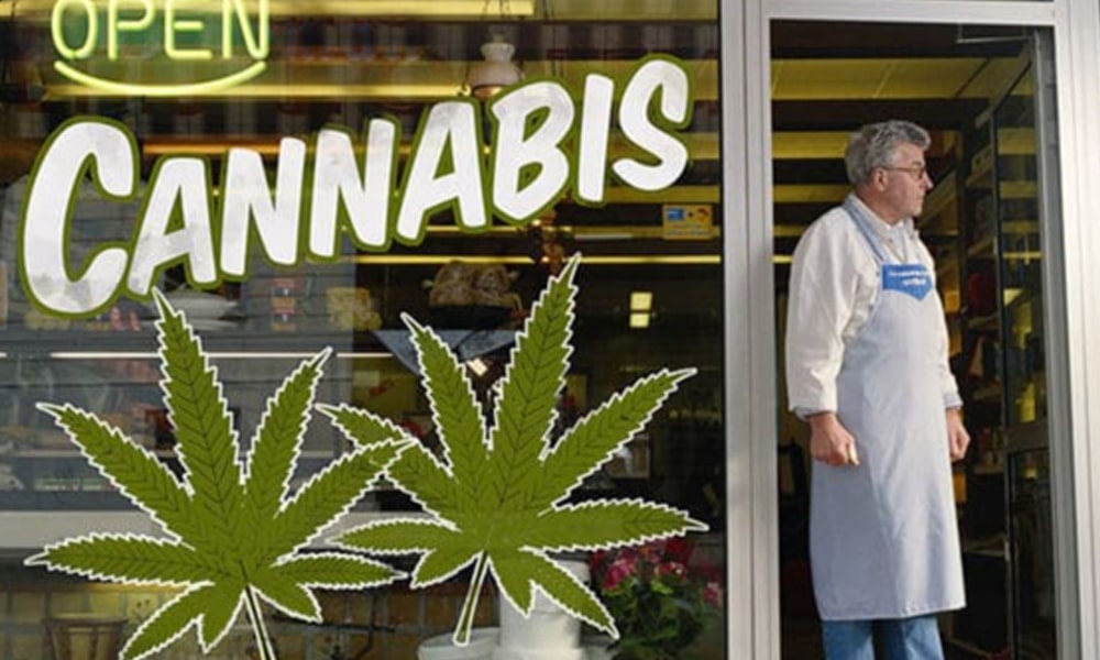 cannabis retailer