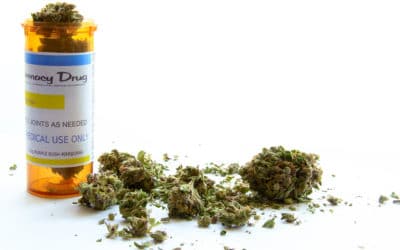 Medical Benefits of Cannabis Are Worth Exploring