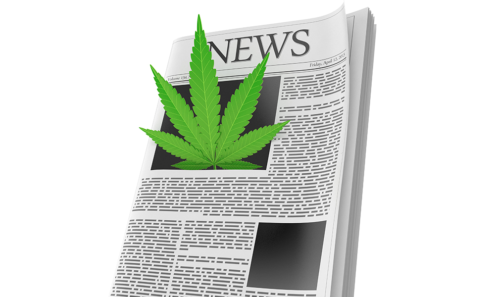Cannabis News Keeps Making Headlines