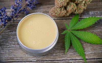 CBD Pain Relief Rub Why It Works