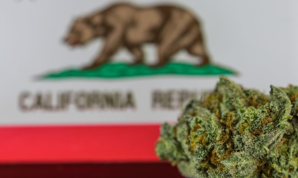 California Cannabis Laws For Beginners