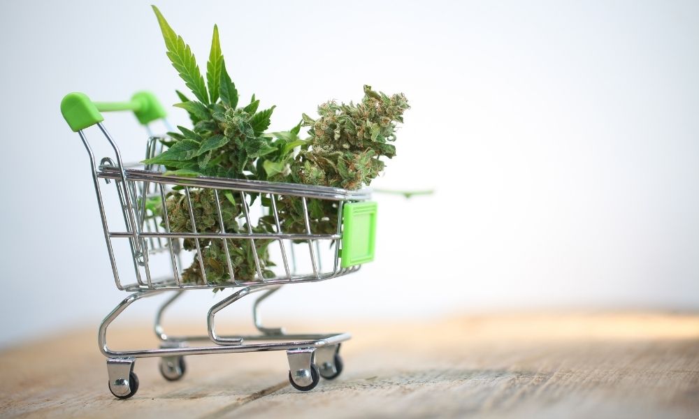 Cannabis Shop or Delivery What’s The Difference?