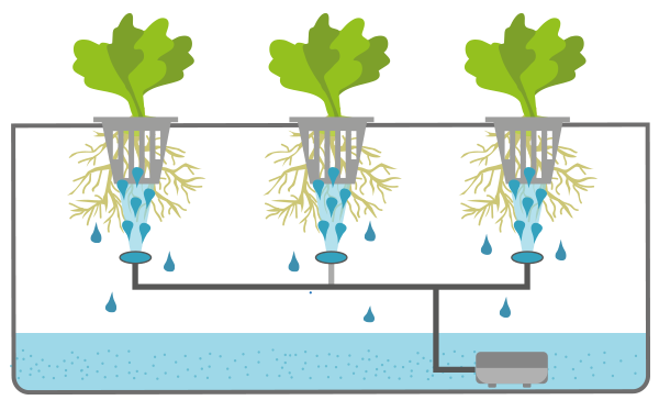 Aeroponic Diagram