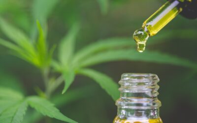 Cannabis Tinctures: What is sublingual dosing?